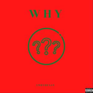 Why (Explicit)