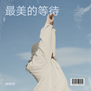 从此我等风等雨不等你-胡国涛