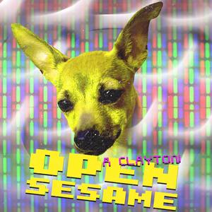 Open Sesame (Radio Edit)