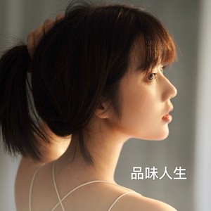 品味人生 (DJ版)
