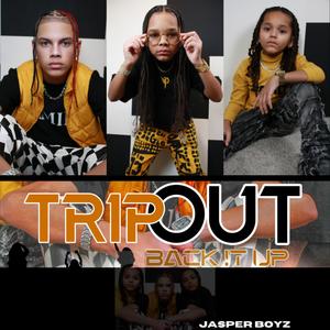 TRIP OUT BACK IT UP (Explicit)