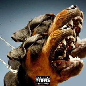 DOGS (Explicit)