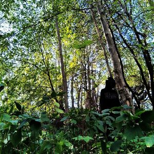 Я СЛОМАЛ ЗЕРКАЛО НО ВСЁ ЕЩЁ СМОТРЮ НА СЕБЯ