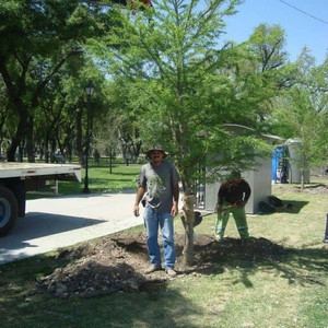 Drill Vampiro (Explicit)