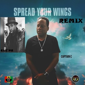 Spread Your Wings (Remix)