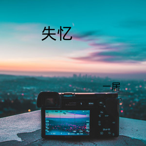 手心的蔷薇 (DJ版)