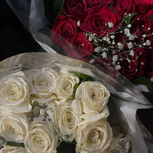 Forgive and Forget (Explicit)