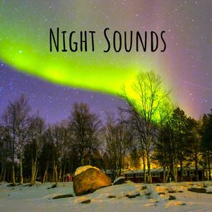 Night Sounds