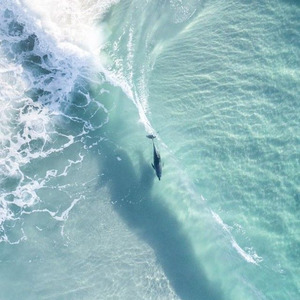 精神嗨曲 (Remix)