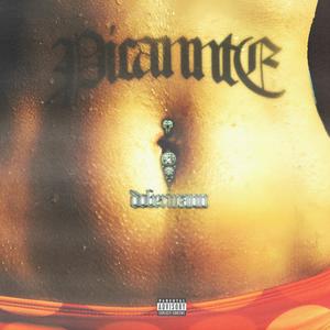 PICANNTE (Explicit)