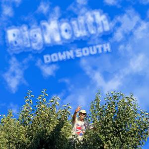 Down South (Explicit)