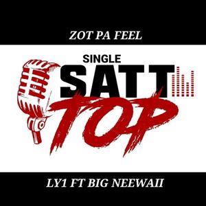 Zot Pa Feel (feat. BIG NEEWAII) [Explicit]