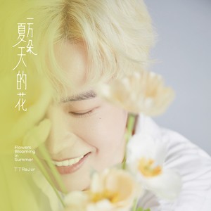 雾海上的流浪者