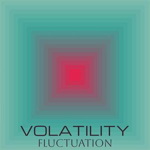 Volatility Fluctuation