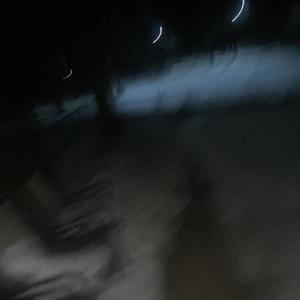 medicated freestyle 2 (Explicit)