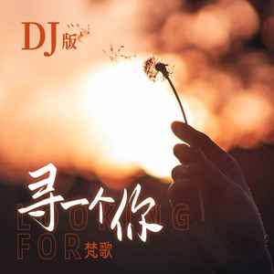 寻一个你 (DJ版)