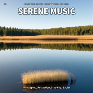 Serene Music, Pt. 68