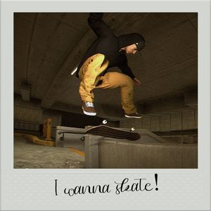 I wanna Skate
