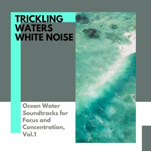 Trickling Waters White Noise - Ocean Water Soundtracks for Focus and Concentration, Vol.1