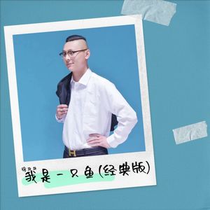 我是一只鱼 (Live)