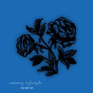 Cemetery Lifestyle (Explicit)