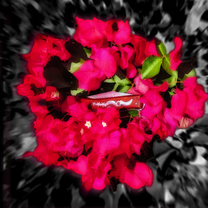 Better Days (Explicit)