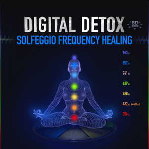 SOLFEGGIO FREQUENCY HEALING (DIGITAL DETOX)