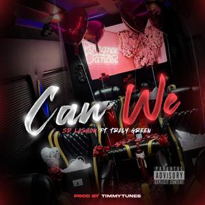 Can We (feat. Tracy Green) [Explicit]