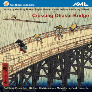 Crossing Ohashi Bridge