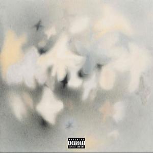 waiting days (Explicit)