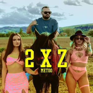 2 X Z