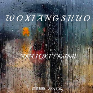 WO XIANG SHUO (我想说)