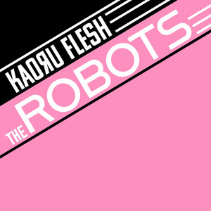 The Robots (Kraftwerk Metal Cover)