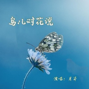 鸟儿对花儿说DJ