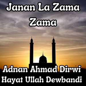 Janan La Zama Zama