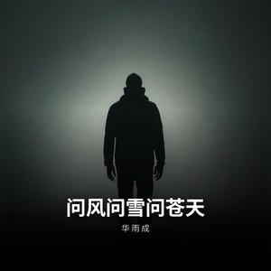 问风问雪问苍天