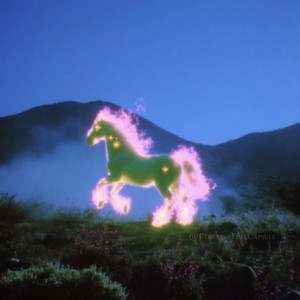 Sacred Play Secret Place（三年之约 我如期而至）