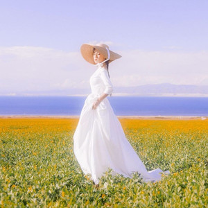 拥有自由（踢踏舞曲 旋律）WAV无损版 (伴奏)