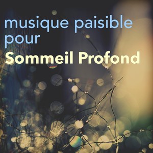 Musique Paisible pour Relaxation et Sommeil Profond – Musicothérapie et Sophrologie pour Détente Totale