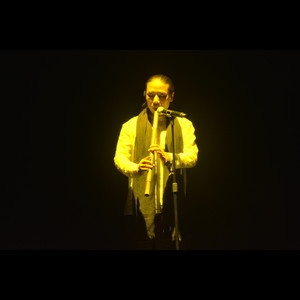 凤凰台上忆吹箫