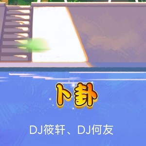 卜卦（DJ麦禾版）