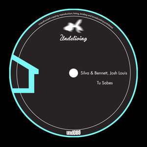 Tu Sabes (Original Mix)