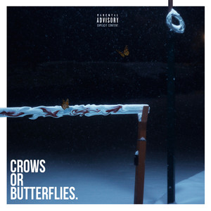 Crows or Butterflies (Explicit)