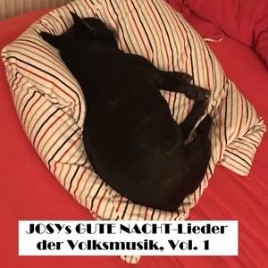 Josys GUTE NACHT Lieder der Volksmusik, Vol. 1