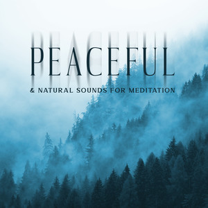 Music for Relaxation