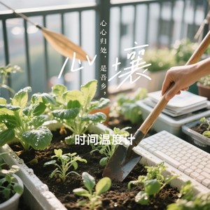 雨停之前封面