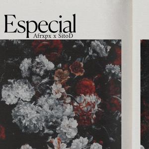 Especial (feat. Afrxpx) (Explicit)
