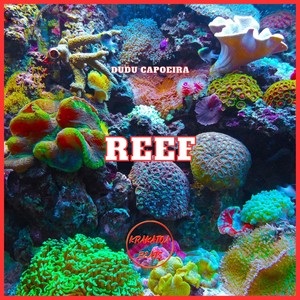 Reef