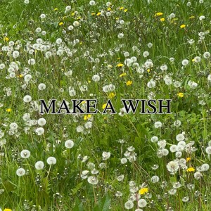MAKE A WISH (Explicit)