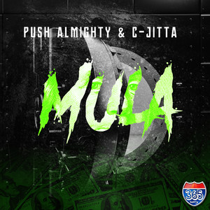 Mula